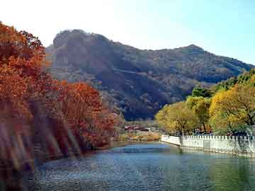 天天彩好彩天天免费，邻水网站建设